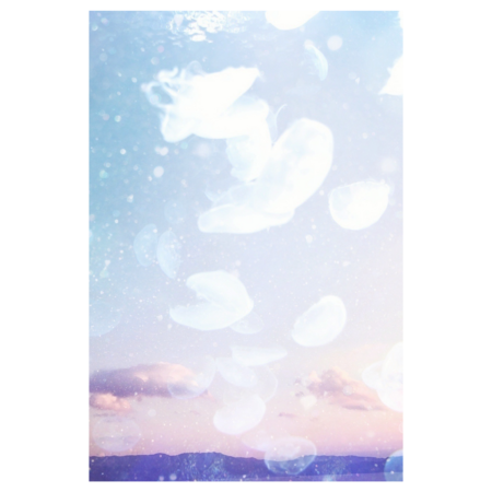 1815bc05 5e43 4f80 b6aa 7a64871dcf1d s