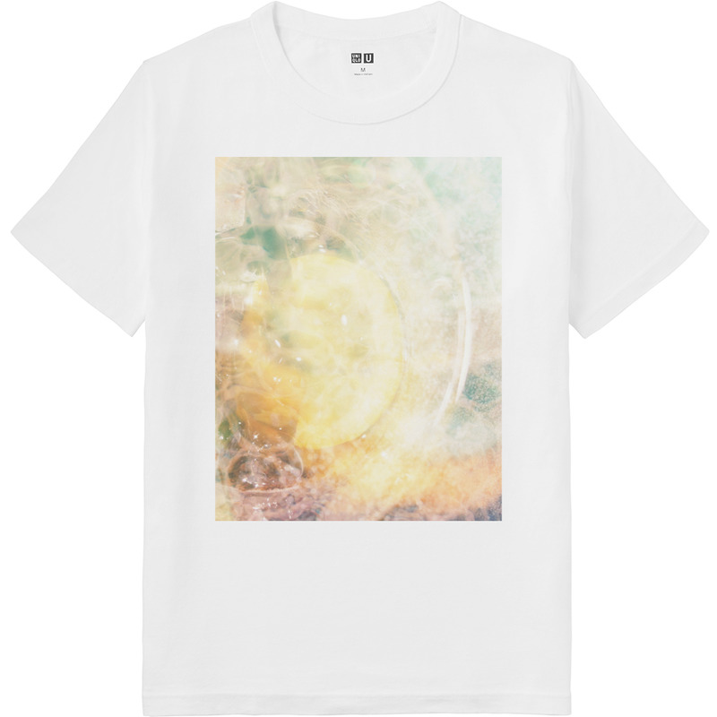 88073325 69ed 4a91 a043 980c30436601 64 print ll