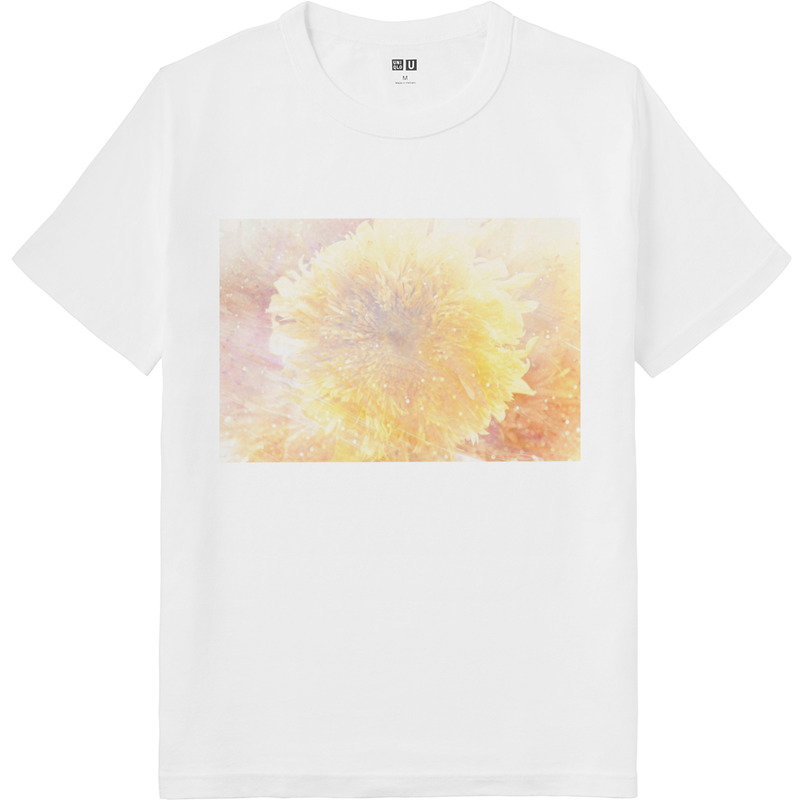 E42635f1 b9ab 4b95 8e38 73d6dd5fe0dd 64 print ll