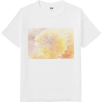 E42635f1 b9ab 4b95 8e38 73d6dd5fe0dd 64 print s