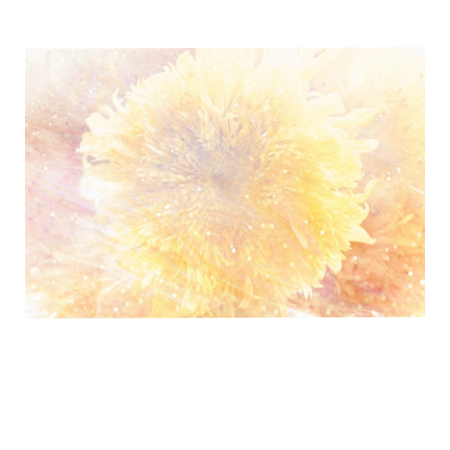 E42635f1 b9ab 4b95 8e38 73d6dd5fe0dd s