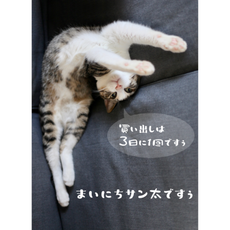 3e5c46e5 930c 4d71 aed3 94705e498830 s