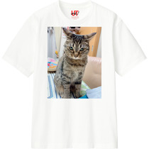 3da4f345 2a49 455a 816b 30cfc57ddb4a 110 print s