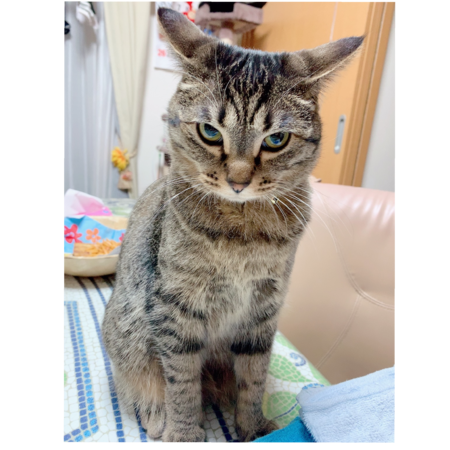 3da4f345 2a49 455a 816b 30cfc57ddb4a s