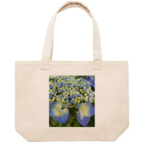 Ba1664ef e871 47d7 af13 c97d969a54f1 53 print s