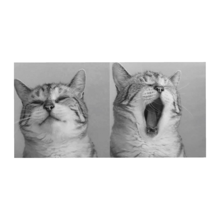 86b07145 60da 4afe 98d9 c45b24fea9cb s