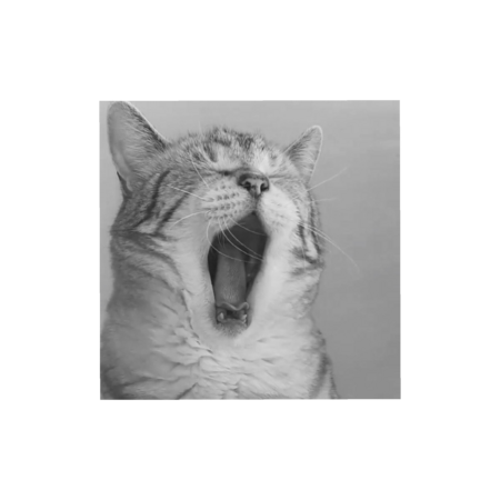 B43d2cd2 c634 46ee 85d4 675902508396 s