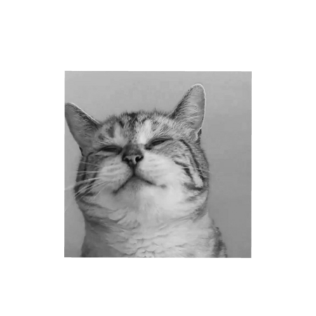 589a8f4f 60de 4a29 8eac 5dcc66b1e4ff s