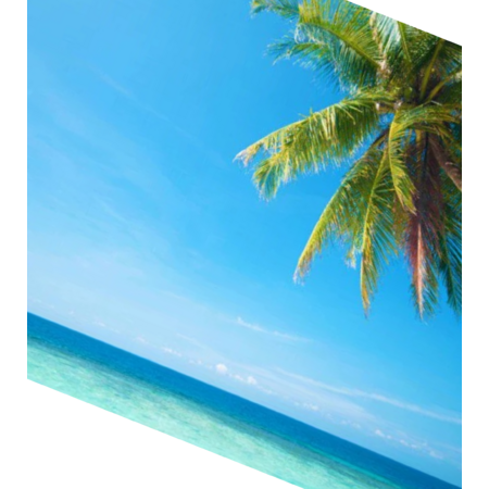 51f7e4e9 ddb6 45fd b0bb f80d354ea28c s