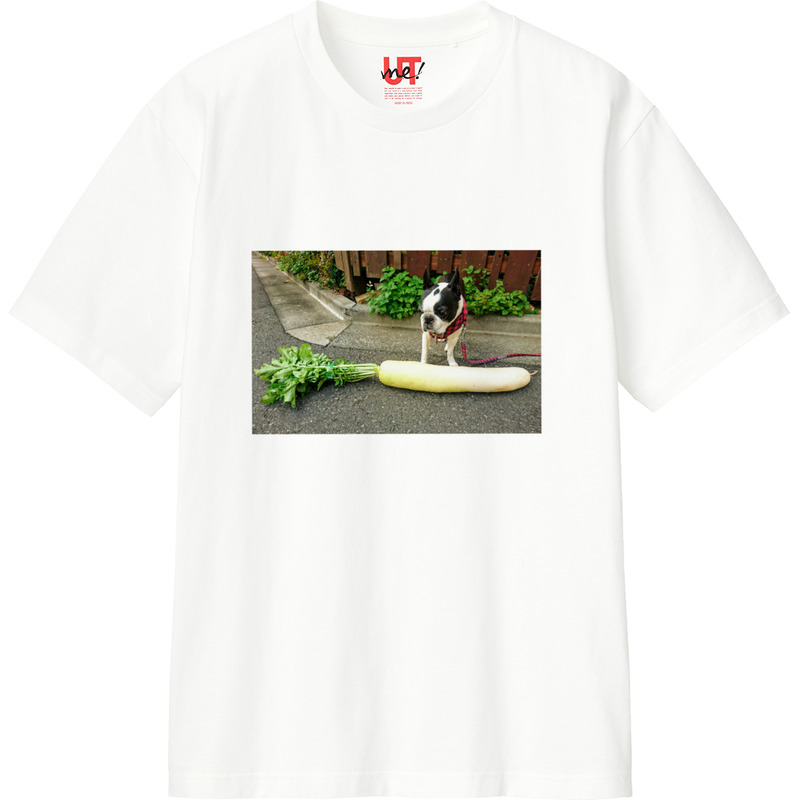 27541cec 01eb 4354 90c1 d50687983963 110 print ll