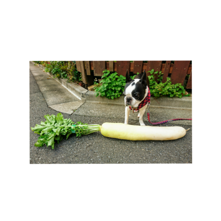 27541cec 01eb 4354 90c1 d50687983963 s