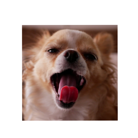 868661c6 a99a 44cc 8fa7 77e75c0ed237 s