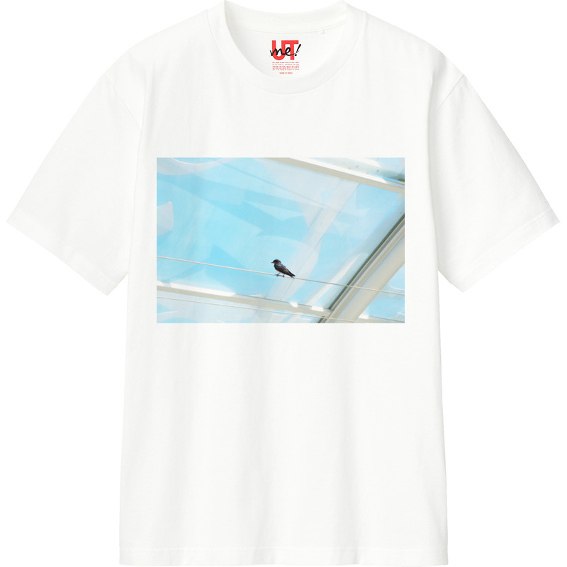 Effb1c06 6d22 4b81 85f9 f1d27814486f 110 print ll