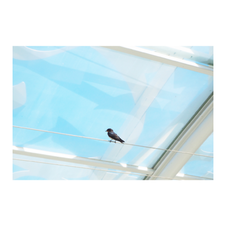 Effb1c06 6d22 4b81 85f9 f1d27814486f s