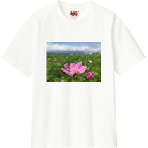 Ec95b248 fd39 4a87 bcee f04e85e903a7 110 print s