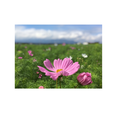 Ec95b248 fd39 4a87 bcee f04e85e903a7 s