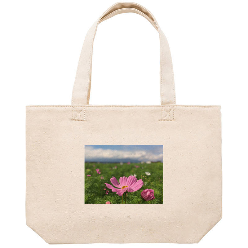 B9dfe2a0 d00b 4ebc 922e 30d9abb2863d 53 print ll