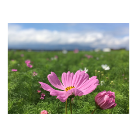 B9dfe2a0 d00b 4ebc 922e 30d9abb2863d s