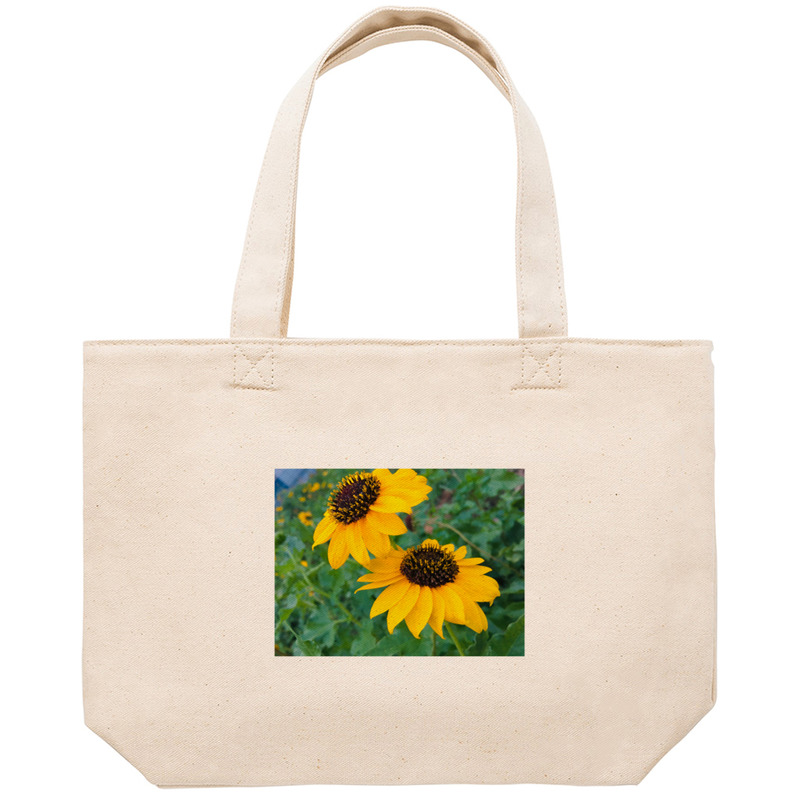 D5f015ff 3d91 4c9d 8371 d7ecfad9f461 53 print ll