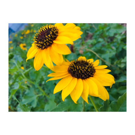 D5f015ff 3d91 4c9d 8371 d7ecfad9f461 s