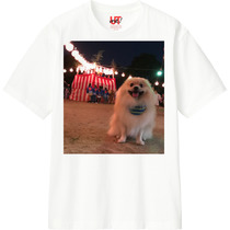 F91ceb2a 1544 4363 ac04 2348ab3a157d 110 print s