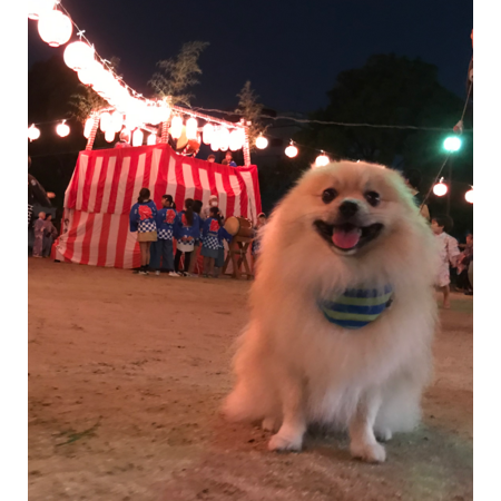 F91ceb2a 1544 4363 ac04 2348ab3a157d s