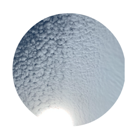 3bf575ec d28b 4233 b72c ed5e537e1856 s