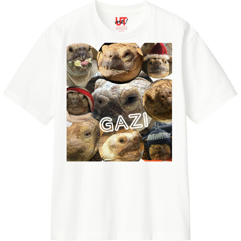 F81ec01b 69f0 415c acd6 5c0f84e8bda1 110 print ll