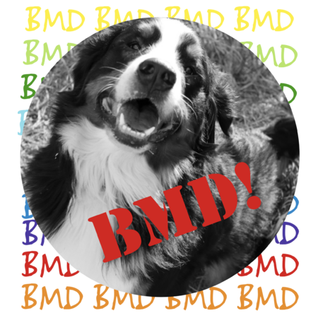 51cff903 2d21 480d 8fa5 ccb56aa63544 s