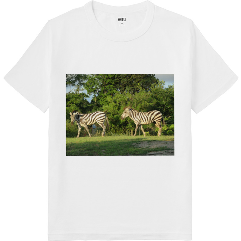 D236565e 86ff 44c8 a8b7 638906e8e301 64 print ll