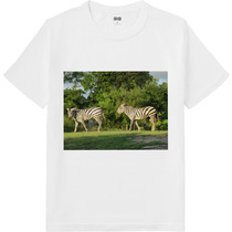 D236565e 86ff 44c8 a8b7 638906e8e301 64 print s