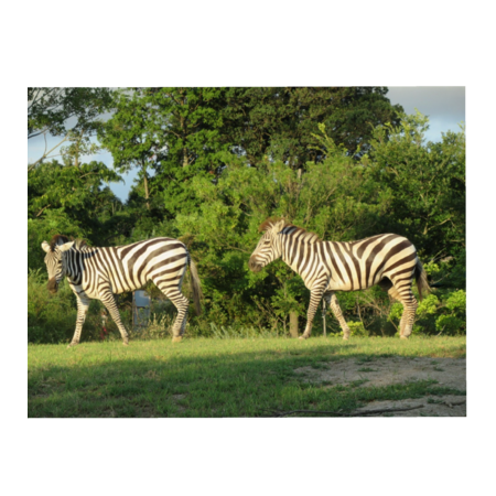 D236565e 86ff 44c8 a8b7 638906e8e301 s