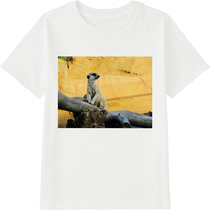 0ce0c5f4 bb7d 42ef bd79 991e033317f8 45 print s