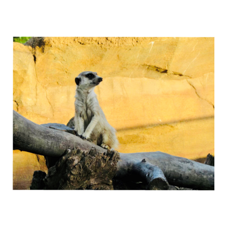 0ce0c5f4 bb7d 42ef bd79 991e033317f8 s