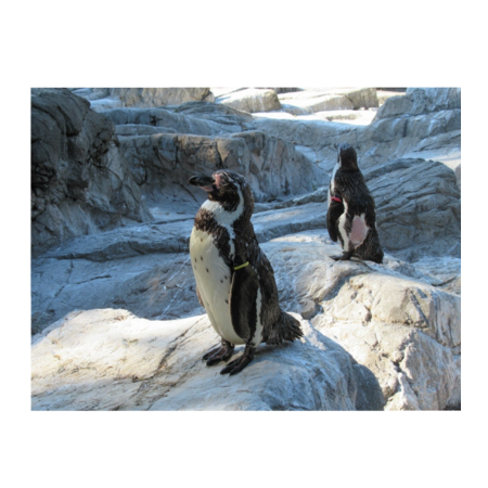 F9a482c1 d0a6 4345 b0af 8c900aa0df23 s