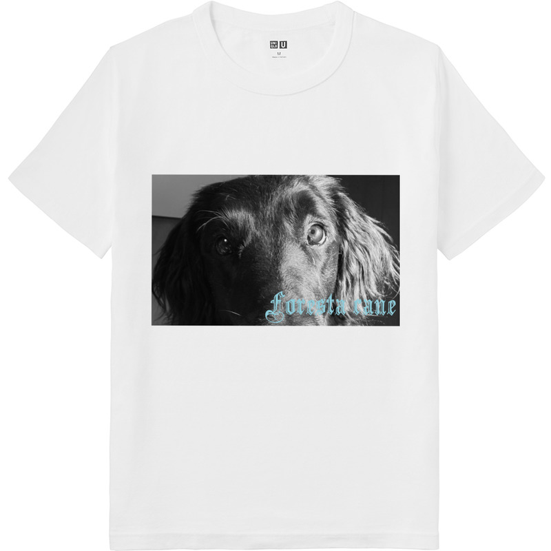 2e25fefa 4a23 457d a413 129c87955963 64 print ll