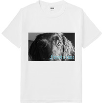 2e25fefa 4a23 457d a413 129c87955963 64 print s