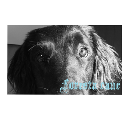 2e25fefa 4a23 457d a413 129c87955963 s