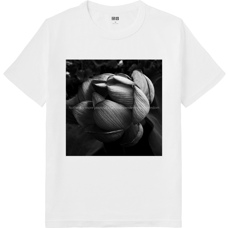 2f91a96a 342e 4854 90d8 b366fcee06e2 64 print ll