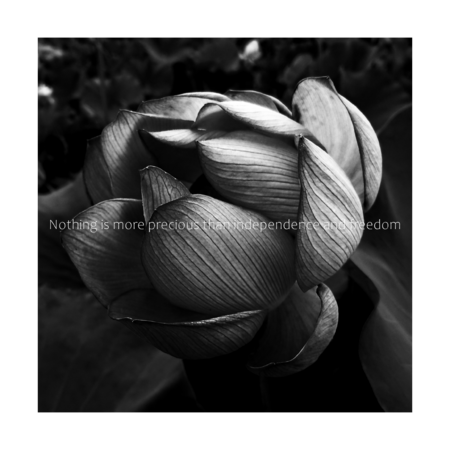 2f91a96a 342e 4854 90d8 b366fcee06e2 s