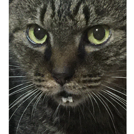 0955c1f7 64da 43b3 a2ac 1f27ba76a344 s