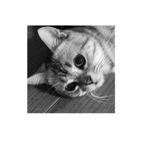 41fd4323 2d1a 4ae4 a985 0a6221821612 s