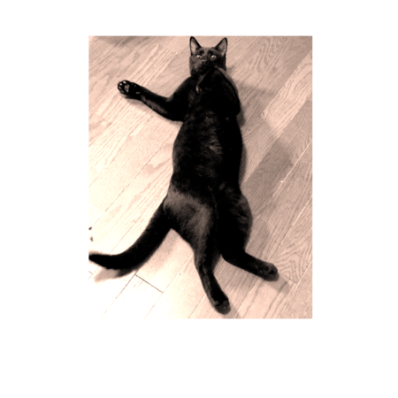 F899f6f3 2967 4618 90ca 4dd4bd82675c s