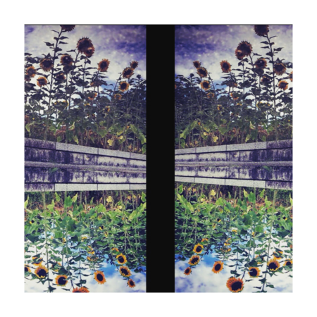 9fb1985f 5e6d 46e8 a11e 77a38e4338bf s