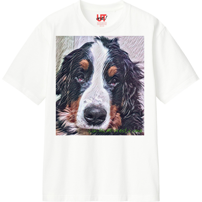 083fa696 97dd 4bac a670 369c40be68b1 110 print ll