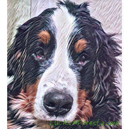 083fa696 97dd 4bac a670 369c40be68b1 s