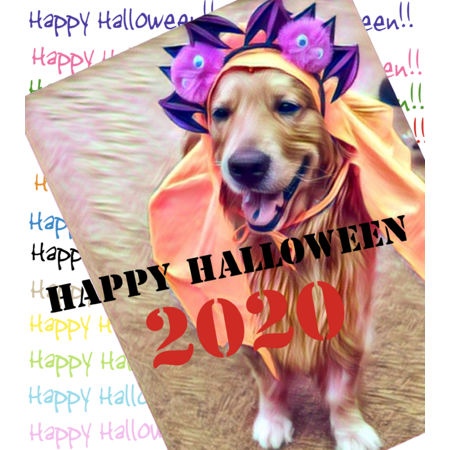 266fcbef 1703 4ec0 b59c 196a8ab3c3a0 s