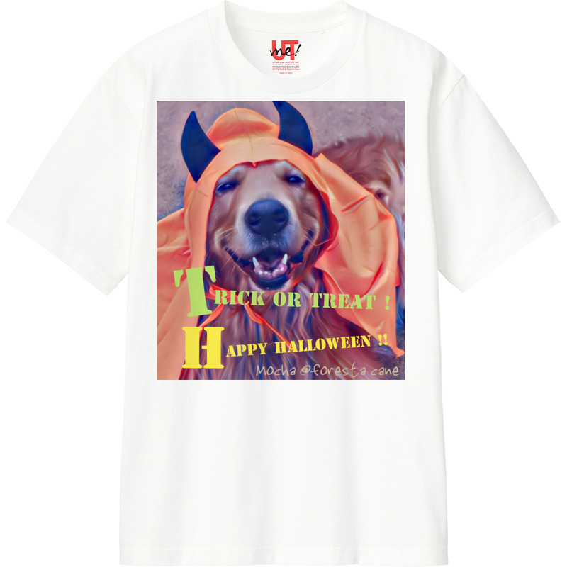 308e5e83 965c 4a90 bf06 0e0dc8444db6 110 print ll