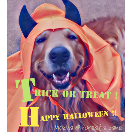 308e5e83 965c 4a90 bf06 0e0dc8444db6 s