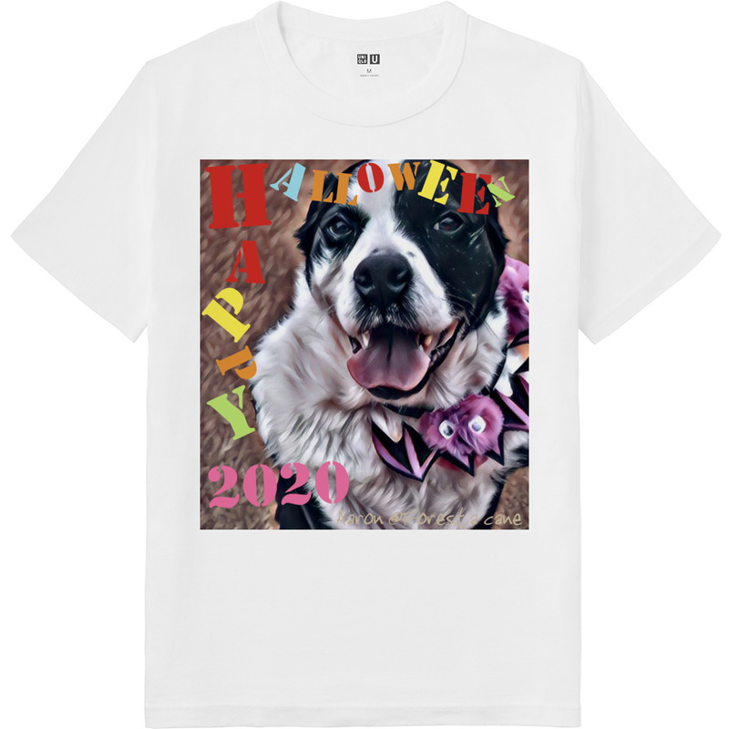 642fce0c adc8 4f44 a8f2 ac9057247ed7 64 print ll